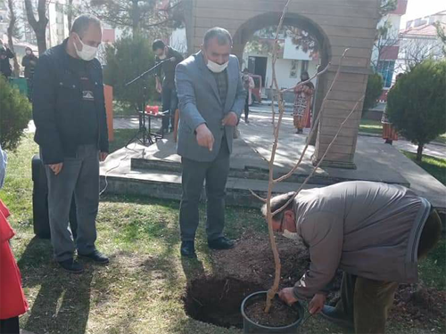 ÇORUM HACI BEKTAŞ VELİ VAKFI BAHÇESİNE KARADUT FİDANI DİKİLDİ