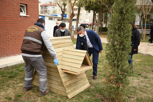 KEDİ DOSTU BELEDİYECİLİĞİN EN GÜZEL ÖRNEĞİ ÇORUM’DA