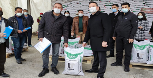 SUNGURLUDA ÜRETİCİYE % 75 HİBE DESTEKLİ 34 TON NOHUT TOHUMU