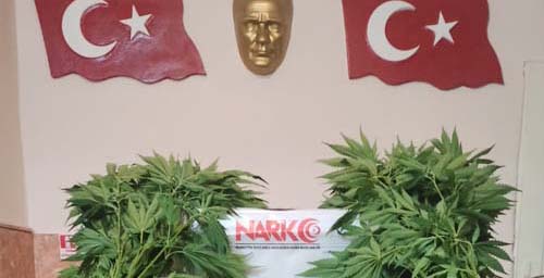 UYUŞTURUCU TRAFİĞİNE DARBE