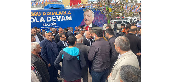 GÜL VEKİL GİBİ KARŞILANDI