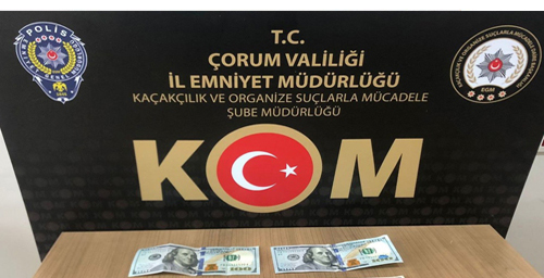 SAMSUNDAN GELİP SAHTE DOLARLA ALIŞ VERİŞ YAPTI