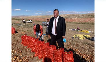 GÜRER : “SOĞAN TARLADA KALDI”