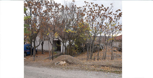 BAĞ EVİ HIRSIZLARI ENSELENDİ