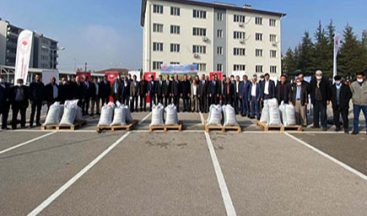 ÇORUMLU ÜRETİCİLERE FİĞ TOHUMU DAĞITILDI