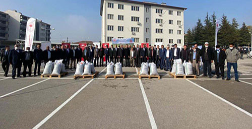 ÇORUMLU ÜRETİCİLERE FİĞ TOHUMU DAĞITILDI