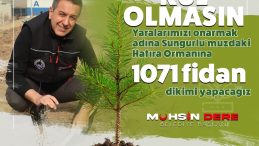 SUNGURLU’DA 1071 FİDAN TOPRAKLA BULUŞUYOR