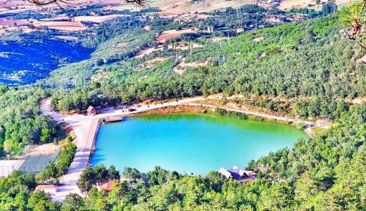 LAÇİN’İN BİYOLOJİK ÇEŞİTLİLİĞİ GENÇLERLE KORUNACAK