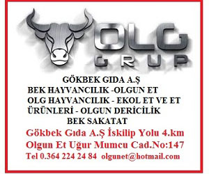 reklam