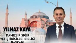 BAYRAMINIZ KUTLU OLSUN – Yılmaz Kaya