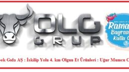 UMUT VE SAĞLIKLA NİCE BAYRAMLARA.. OLG GRUP