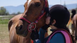 ÇORUM REKOR KIRDI! BOŞ TESİSTEN TÜRKİYE ZİRVESİNE