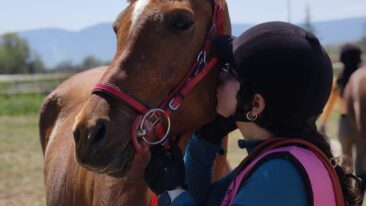 ÇORUM REKOR KIRDI! BOŞ TESİSTEN TÜRKİYE ZİRVESİNE