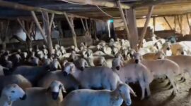 İÇİ KOYUN DOLU KÖMYERİ RESMEN MÜHÜRLEDİ