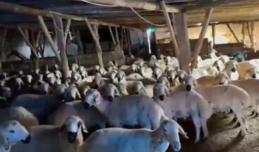 İÇİ KOYUN DOLU KÖMYERİ RESMEN MÜHÜRLEDİ