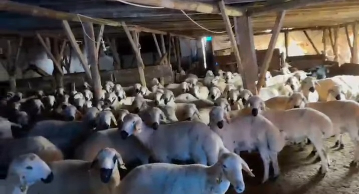 İÇİ KOYUN DOLU KÖMYERİ RESMEN MÜHÜRLEDİ