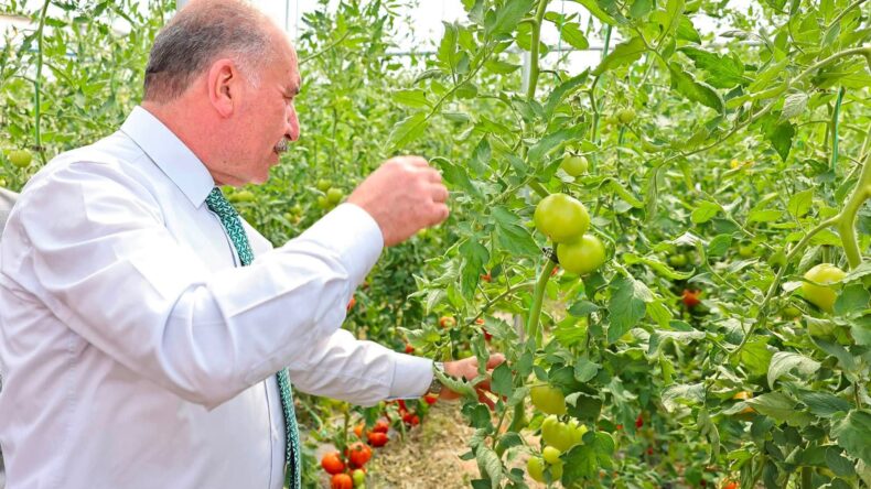 VALİ ÇALGAN MECİTÖZÜ FİGANİ’DE ÜRETİCİLERLE BİRARAYA GELDİ