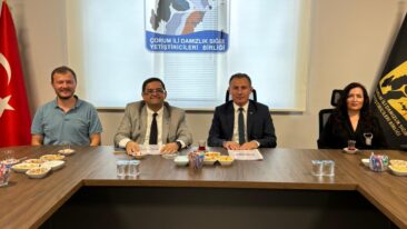 DALYAN’DAN KAYA’YA TEBRİK